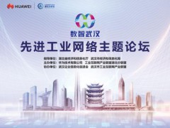 《網(wǎng)絡(luò)體系強(qiáng)基展望白皮書》在武漢發(fā)布
